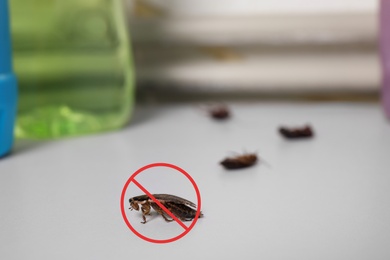 Cockroach with red prohibition sign on table. Pest control