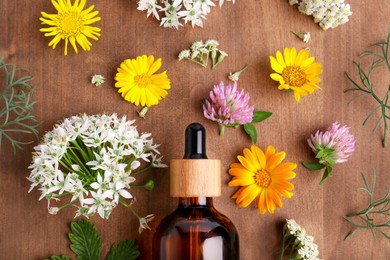 Bottle of essential oil and different wildflowers on wooden table, flat lay