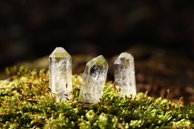 Photo of Clear quartz crystals on green moss in forest