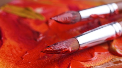 Photo of Brushes on artist's palette with mixed paints, closeup