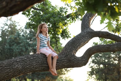 Cute little girl sitting on tree outdoors. Child spending time in nature
