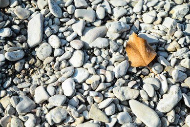 Fallen leaf on pile of stones outdoors