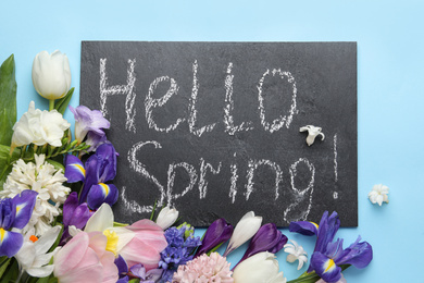 Board with words HELLO SPRING and fresh flowers on light blue background, flat lay