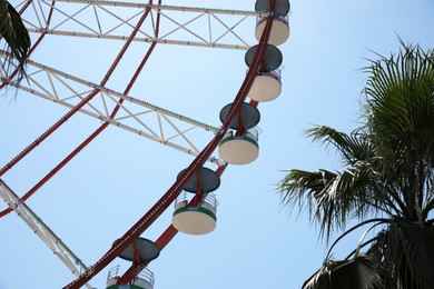 Beautiful large Ferris wheel and palm tree against blue sky, low angle view