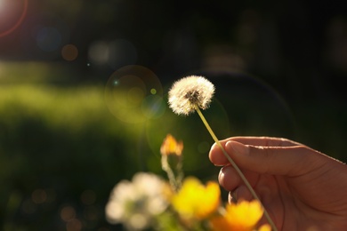 Woman with fluffy dandelion outdoors on sunny day, closeup. Space for text