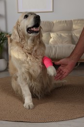 Photo of Man and cute golden retriever with bandage on paw at home, closeup