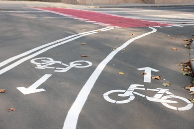 Two way bicycle lane with white signs on asphalt