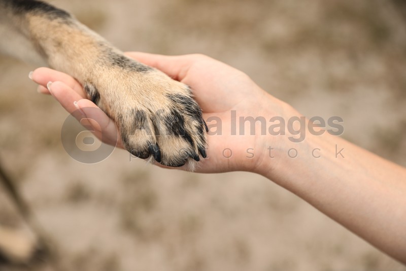 Woman holding dog's paw on blurred background, closeup. Concept of volunteering