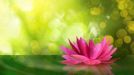 Fantastic lotus flower with sparks on water surface, bokeh effect