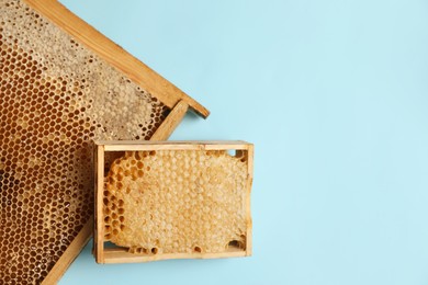 Photo of Honeycomb frames on light blue background, flat lay with space for text. Beekeeping