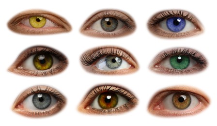 Collage with photos of beautiful eyes on white background