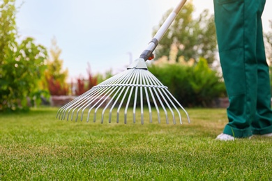 Woman raking green lawn at backyard. Home gardening