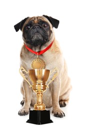 Cute pug dog with gold medal and trophy cup on white background