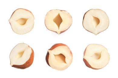 Image of Set with tasty hazelnuts on white background 