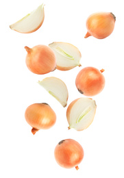 Cut and whole onion bulbs falling on white background