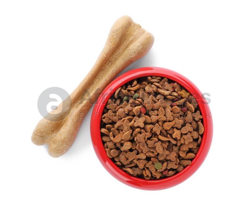 Toy and food for dog on white background. Pet care