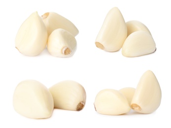 Set of fresh garlic cloves on white background