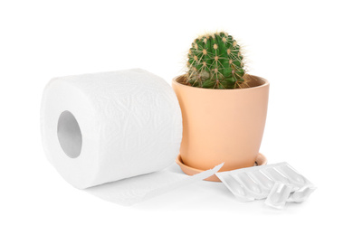 Roll of toilet paper, cactus and suppositories on white background. Hemorrhoid problems