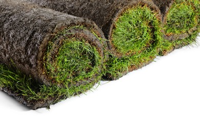 Photo of Rolls of grass sod on white background