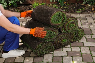 Gardener with grass sod rolls on backyard, closeup