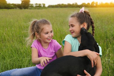 Cute little girls with dog in green field