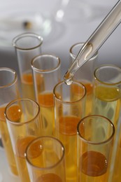 Dropping urine sample for analysis into tube, closeup