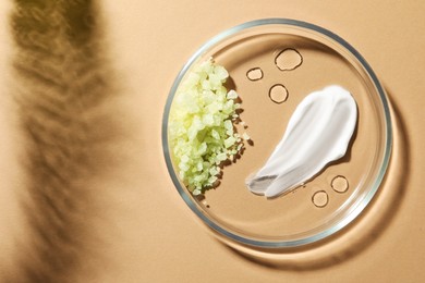Photo of Petri dish with different samples on beige background, top view. Space for text