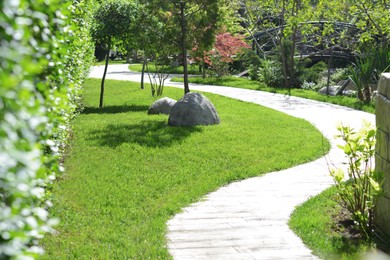 Beautiful park with green lawn, plants and walkway on sunny day