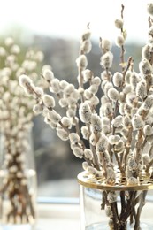 Beautiful pussy willow branches in glass vase on blurred background, closeup