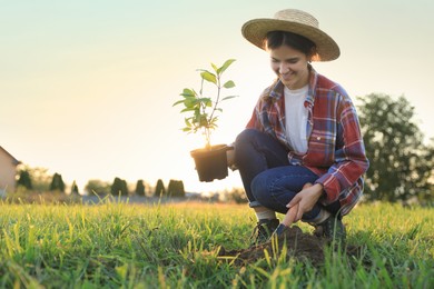 Photo of Young woman planting tree in countryside, space for text
