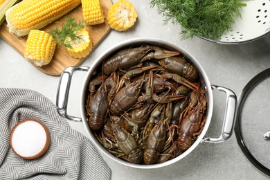 Fresh raw crayfishes in pot on grey table, flat lay