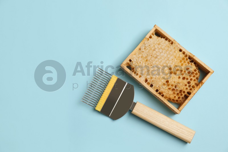 Photo of Honeycomb frame and uncapping fork on light blue background, flat lay with space for text. Beekeeping