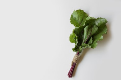Photo of Bunch of beetroot leaves on white wooden table, top view. Space for text