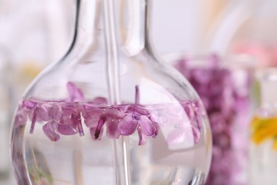 Laboratory flask with lilac flowers, closeup. Extracting essential oil for perfumery and cosmetics