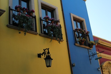 Photo of Buildings with beautiful windows, balconies and potted flowers
