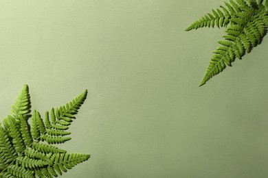 Beautiful tropical fern leaves on light green background, flat lay. Space for text