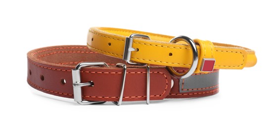 Different leather dog collars on white background