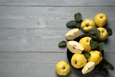 Fresh ripe organic quinces with leaves on grey wooden table, flat lay. Space for text