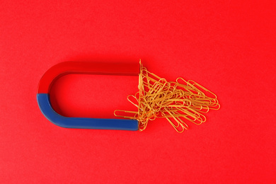 Magnet attracting paper clips on red background, flat lay