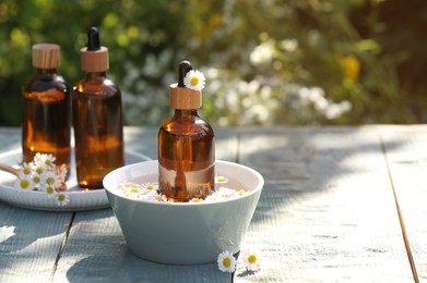 Bottles of chamomile essential oil and flowers on grey wooden table, space for text