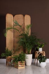 Photo of Many beautiful houseplants near brown wall indoors. Interior design