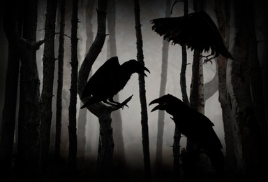 Black crows in creepy misty forest. Fantasy world
