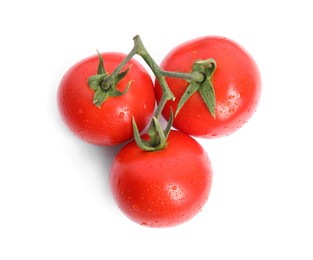 Branch of ripe red tomatoes on white background, top view