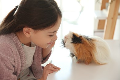 Photo of Happy little girl with guinea pig at home. Childhood pet