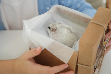 Little girl holding gift box with cute hamster at home, closeup