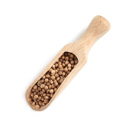 Photo of Dried coriander seeds with wooden scoop on white background, top view