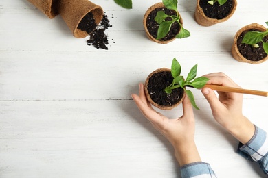 Photo of Woman taking care of seedlings at white wooden table, top view. Space for text