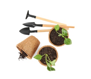Photo of Vegetable seedlings and garden tools isolated on white, top view
