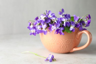 Photo of Beautiful wood violets in cup on light table, space for text. Spring flowers