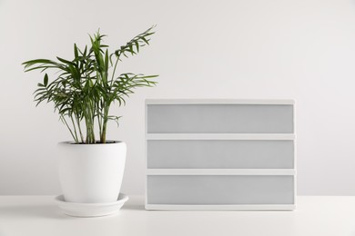 Photo of Blank letter board and beautiful houseplant on white table. Mockup for design